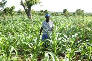 A woman standing in her field.