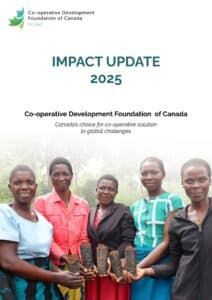 2025 Impact Update